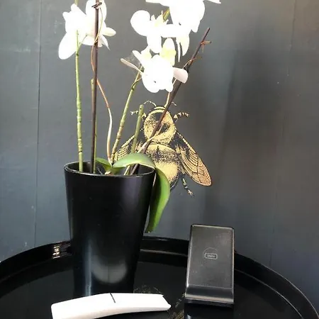 Lippi 42 Single Room's In With Garden *