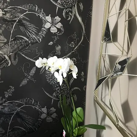 Lippi 42 Single Room's In With Garden * Milano