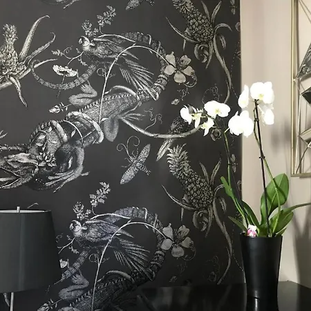 Lippi 42 Single Room's In With Garden Konukevi